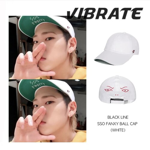 Vibrate秋冬搞笑棒球帽韩国