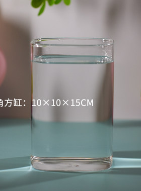 高透玻璃圆角方缸创意生态瓶