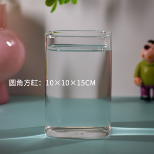 高透玻璃圆角方缸泰国斗鱼小型热带鱼小鱼缸微景观桌面创意生态瓶
