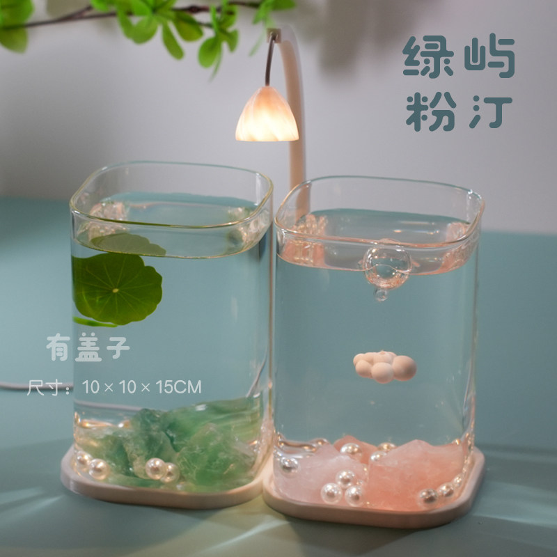 新中式2025新款斗鱼专用隔离双缸客厅办公室造景摆件夜灯小型鱼缸