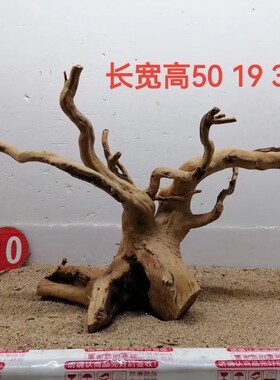 杜鹃根草缸造景素材一木成景水陆缸雨林缸沉木树型莫斯树骨架水草