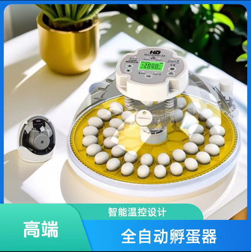 MACADHD 高精度 A8 全自动小型鹦鹉丝雀恒温孵蛋孵化器