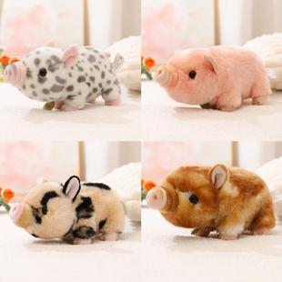 仿真小猪仔公仔毛绒玩具吾卢拉幸运猪玩偶婚庆抛洒礼物抓机布娃娃