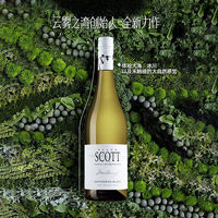 TOP annual best-selling product: New Zealand Imported Catalina Voice Marlborough Sauvignon Blanc Dry White Wine thumbnail 7