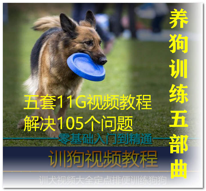 训狗教程零基础训犬马犬训练狗狗听话定点上厕所大小便神器教程