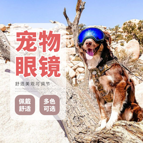 狗狗酷帅护目镜太阳镜墨镜