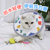 宠物伊丽莎白圈猫咪狗狗小兔子项圈防舔咬围脖脖圈耻辱圈宠物头套
