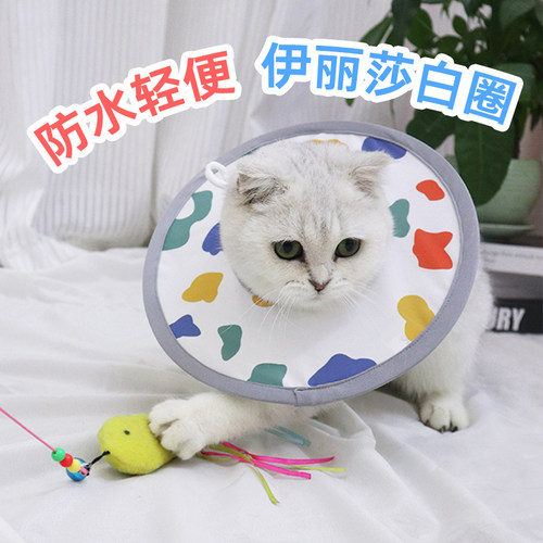 小尺寸头套小宠可用伊丽莎白圈