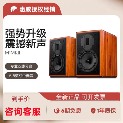 惠威6.5寸无源音箱HIFI书架音箱