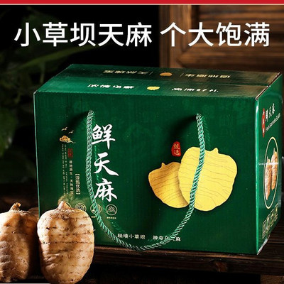 昭通天麻小草坝乌天麻缓解头疼