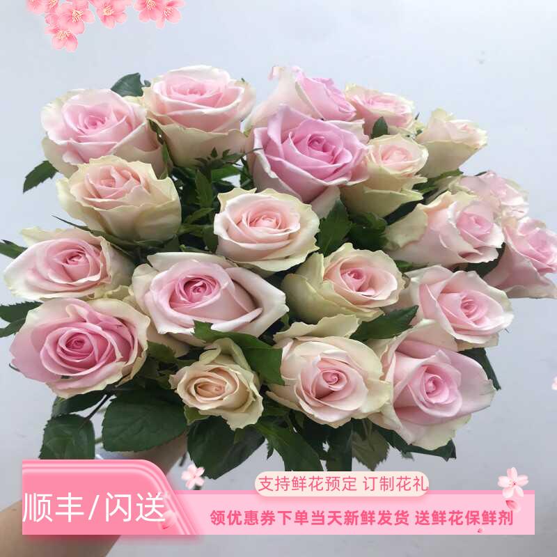 水养次日达顺丰火奴鲁鲁客厅插花