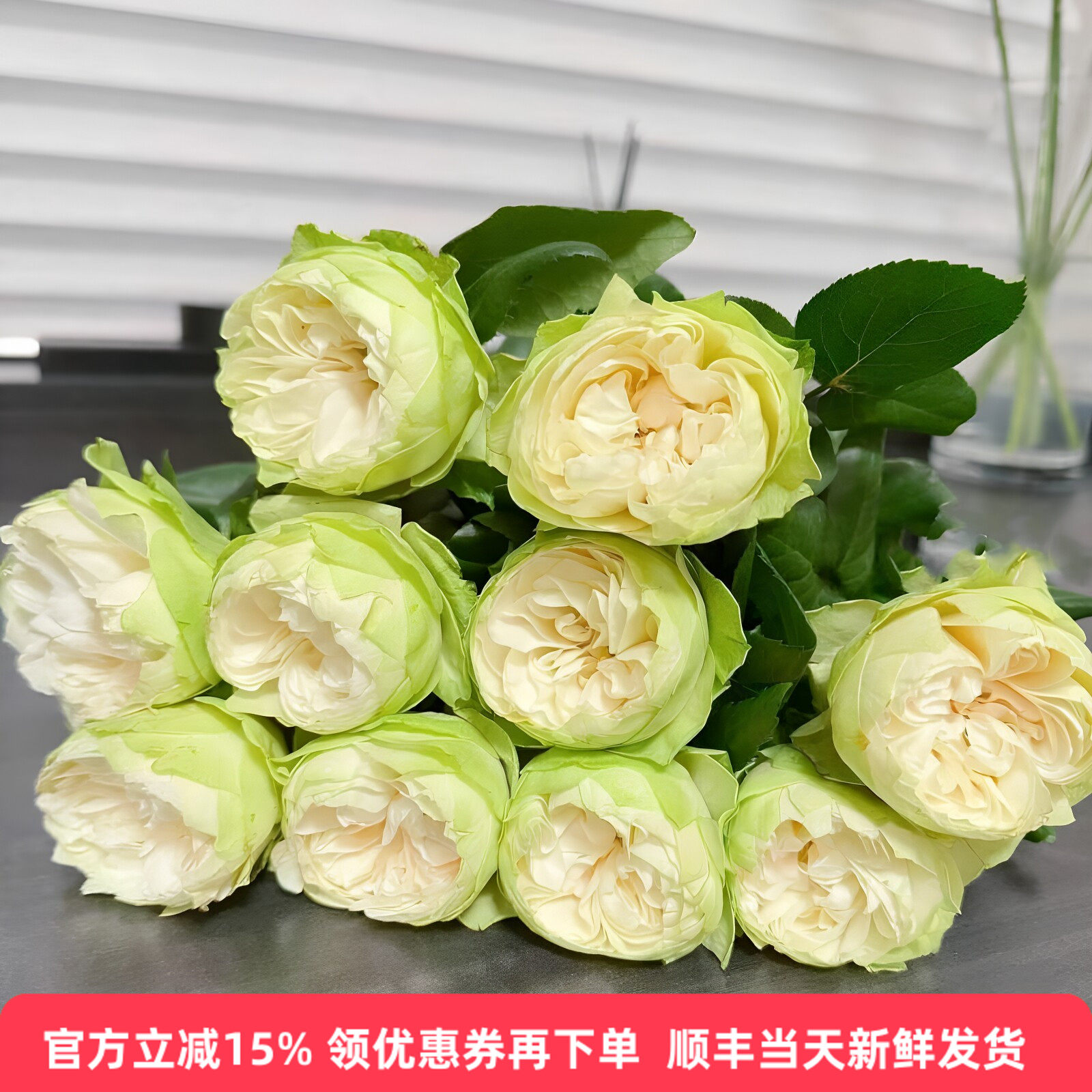 夏雨荷玫瑰鲜切花水培同城速递