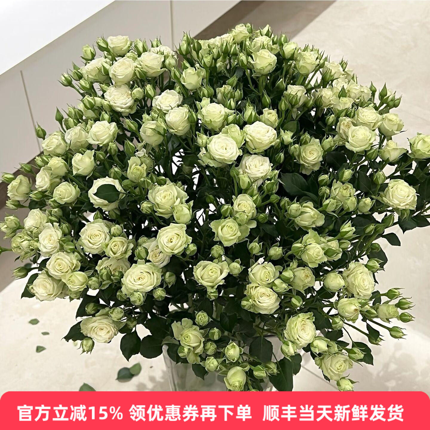 繁星白蔷薇多头小玫瑰情人节礼物