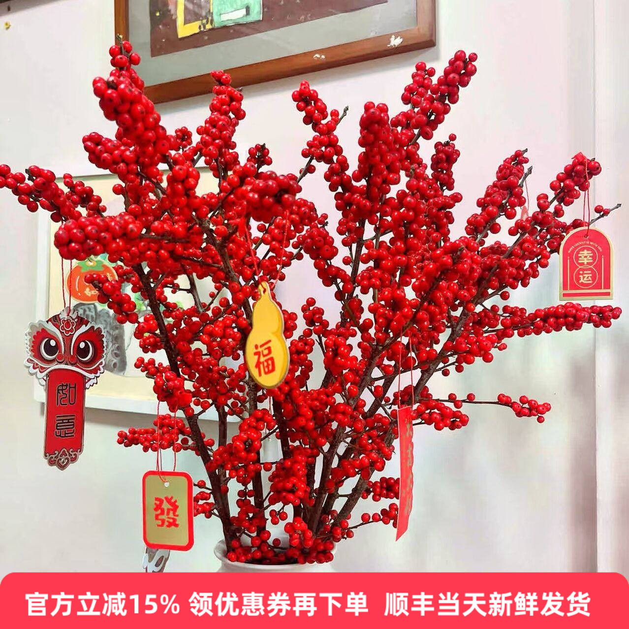 冬青鲜花木本鲜切枝好养花期长喜庆礼物春节鲜花圣诞节花材同城送