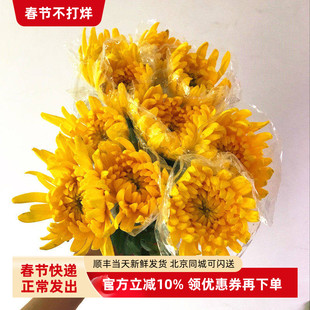 黄白菊花清明节扫墓吊唁纪念鲜花中元节祭祖礼佛花束北京同城速递