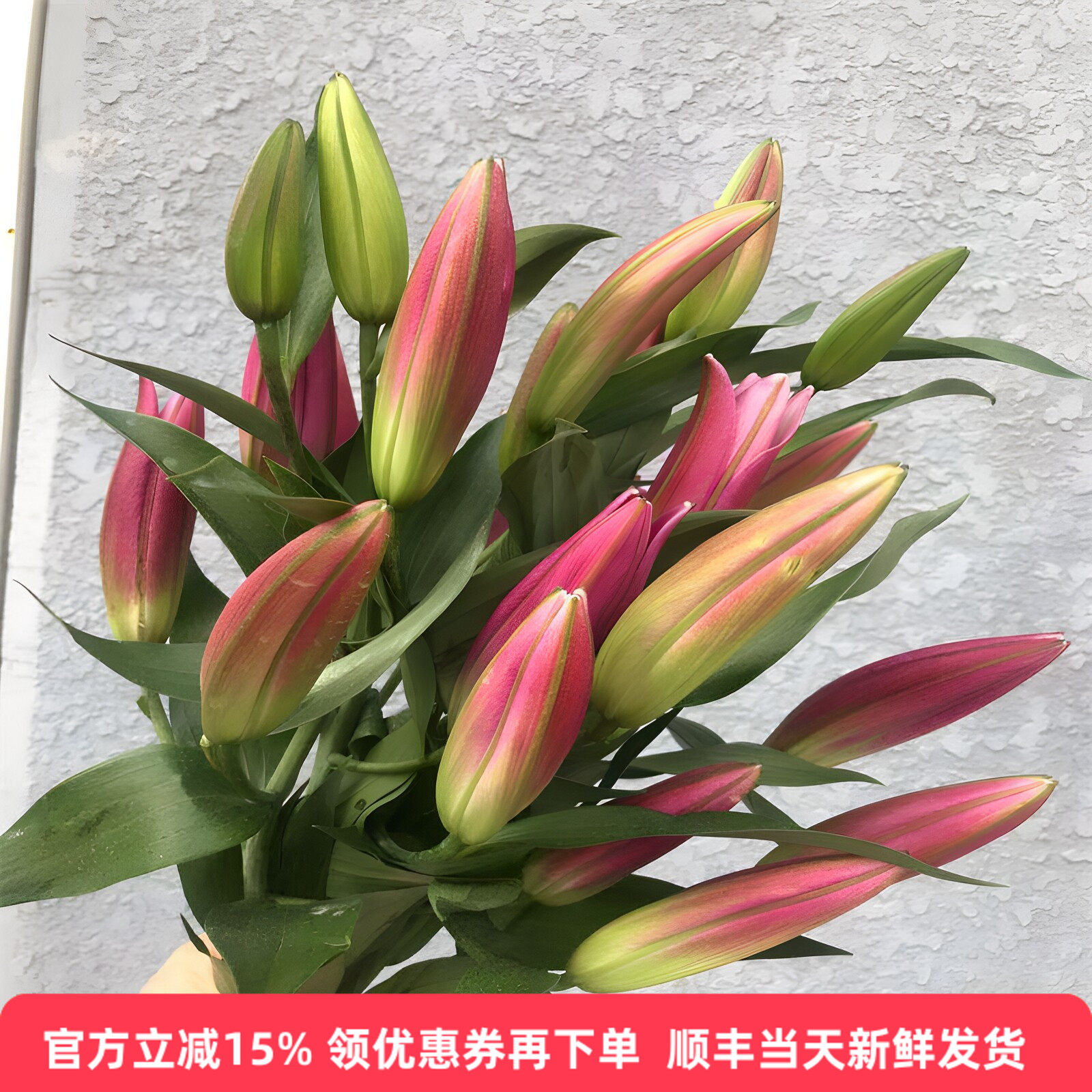 竞争多头香水百合鲜花红百合水养