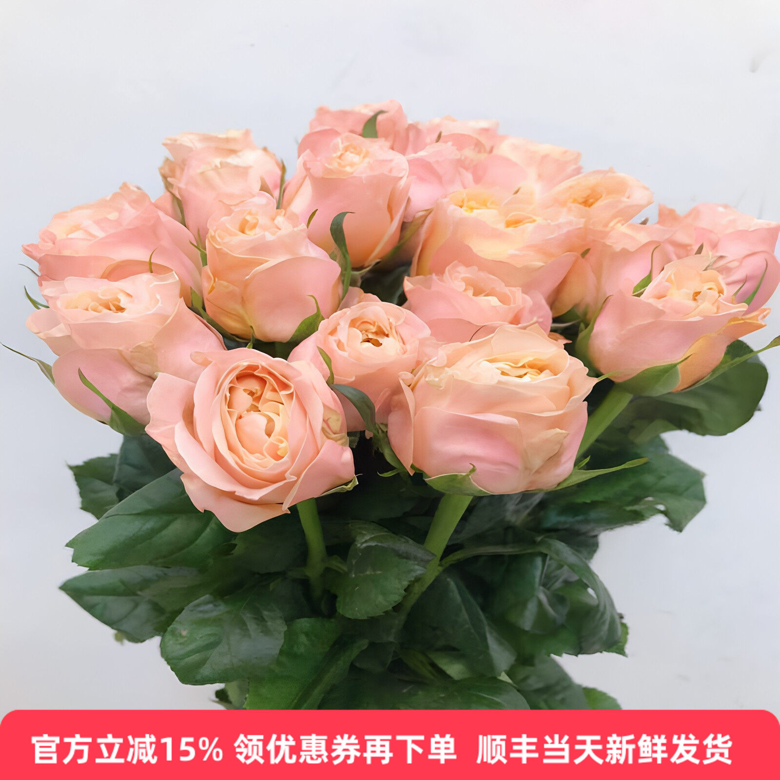 入梦玫瑰19枝北京直发顺丰速递