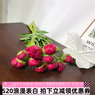 红芍药鲜花御前表演水培鲜切重瓣大花生日礼物母亲节北京同城速递