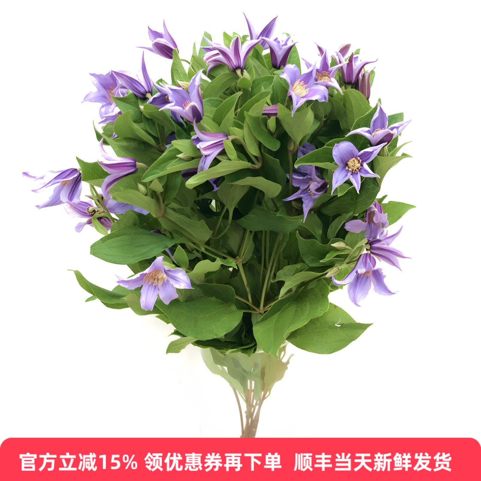 进口铁线莲风铃酒店婚礼鲜花速递