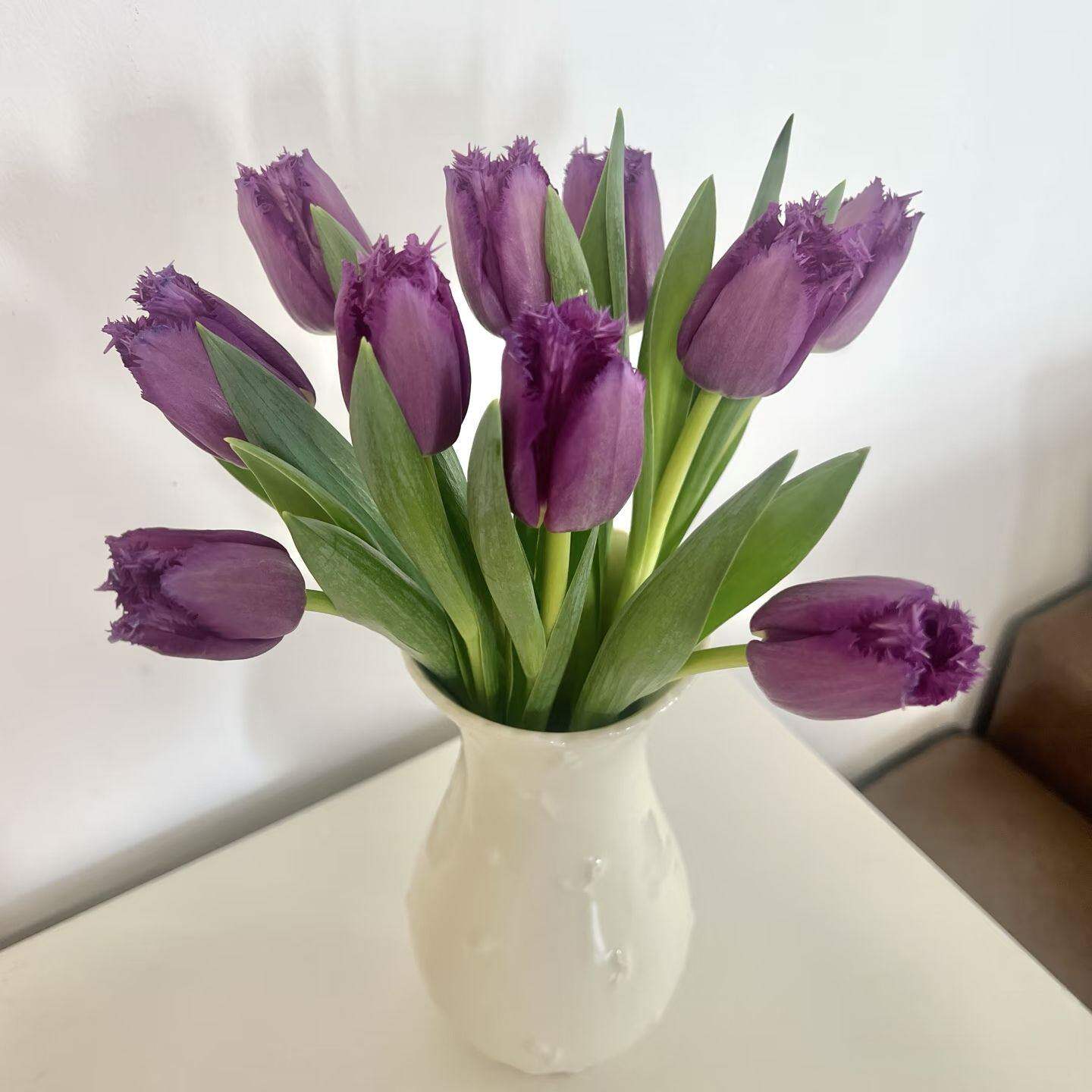 花园地带毛边郁金香花材同城速递