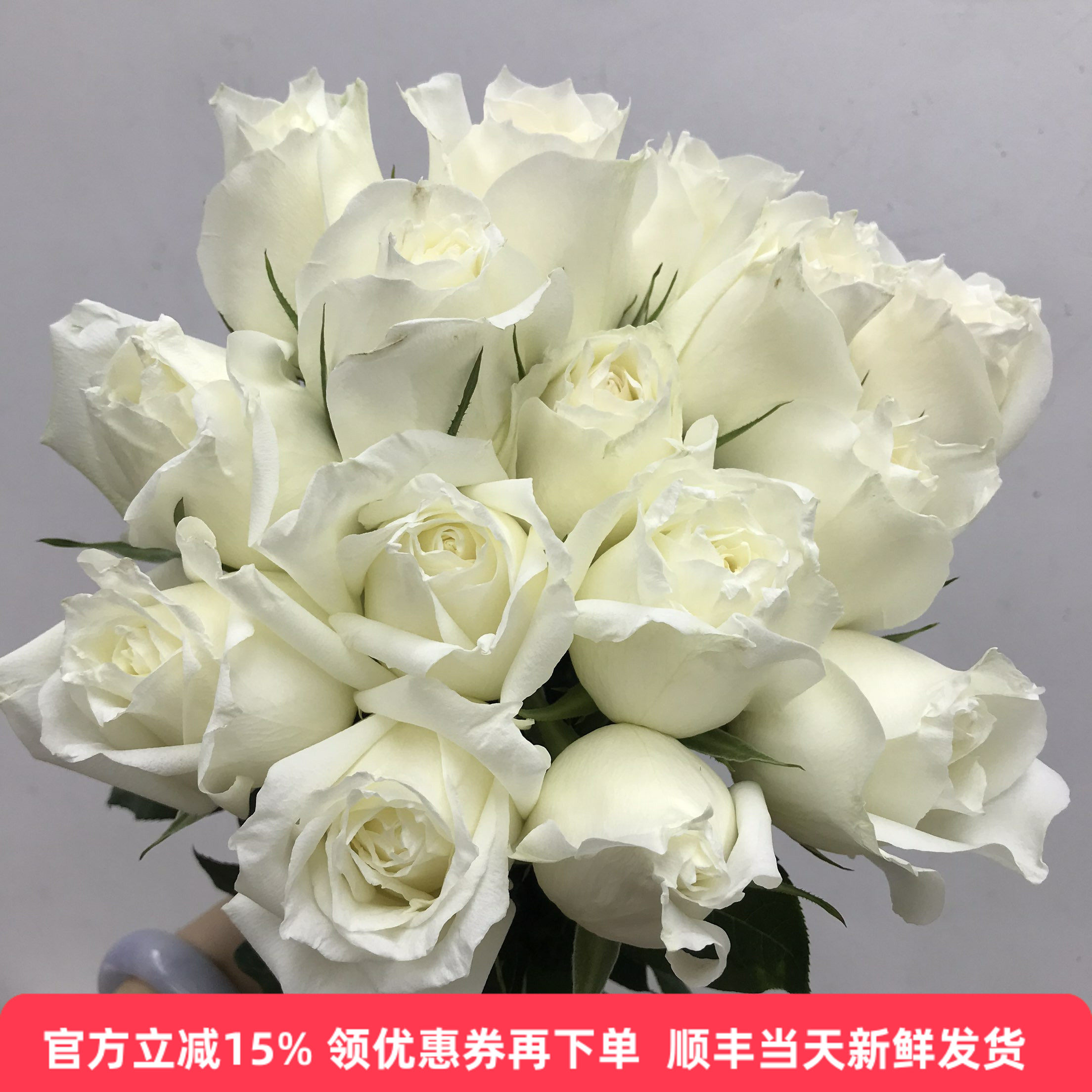坦尼克白玫瑰花水培室内家居插花情人送女友生日礼物鲜花同城速递