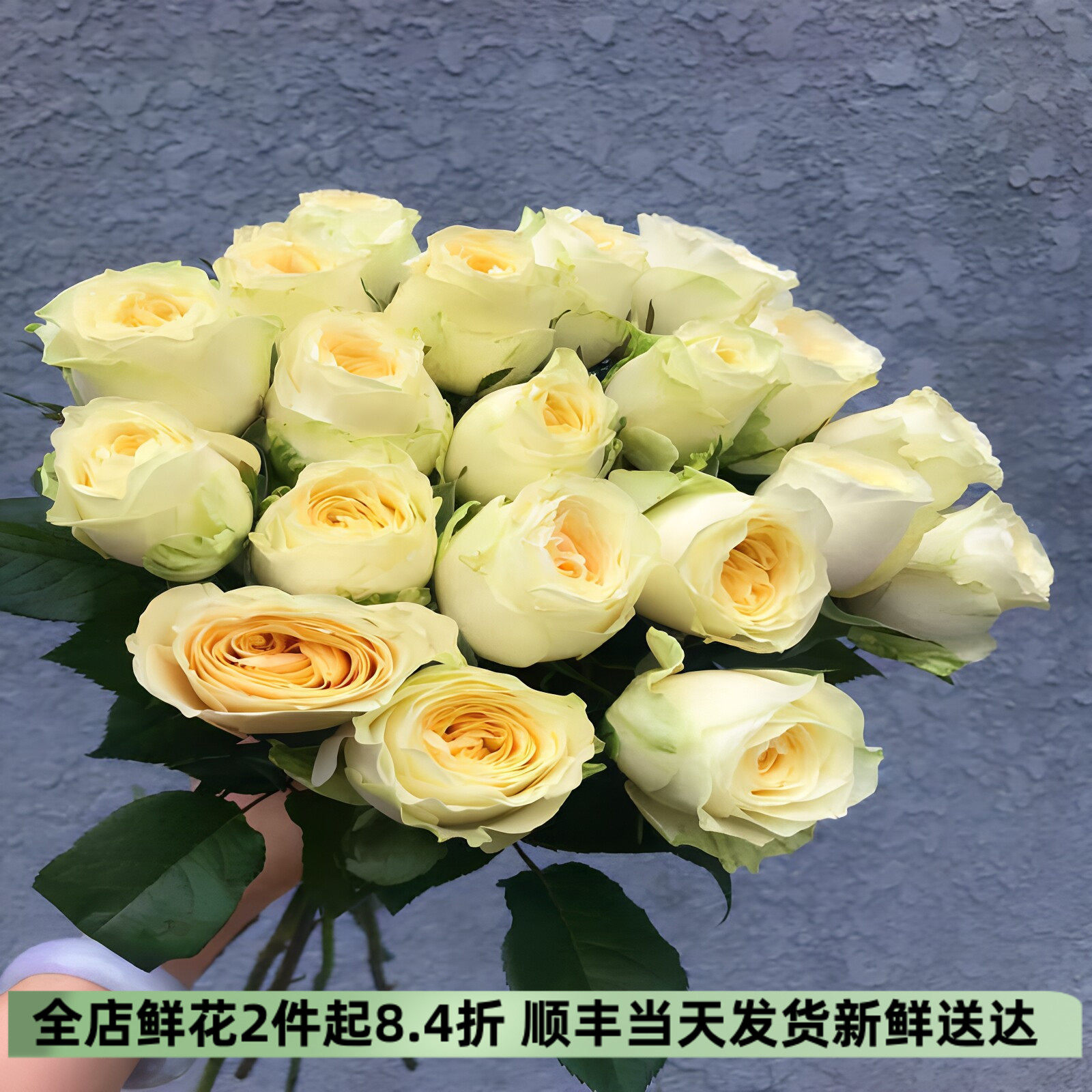 奶油杯玫瑰花束水培鲜切花插花