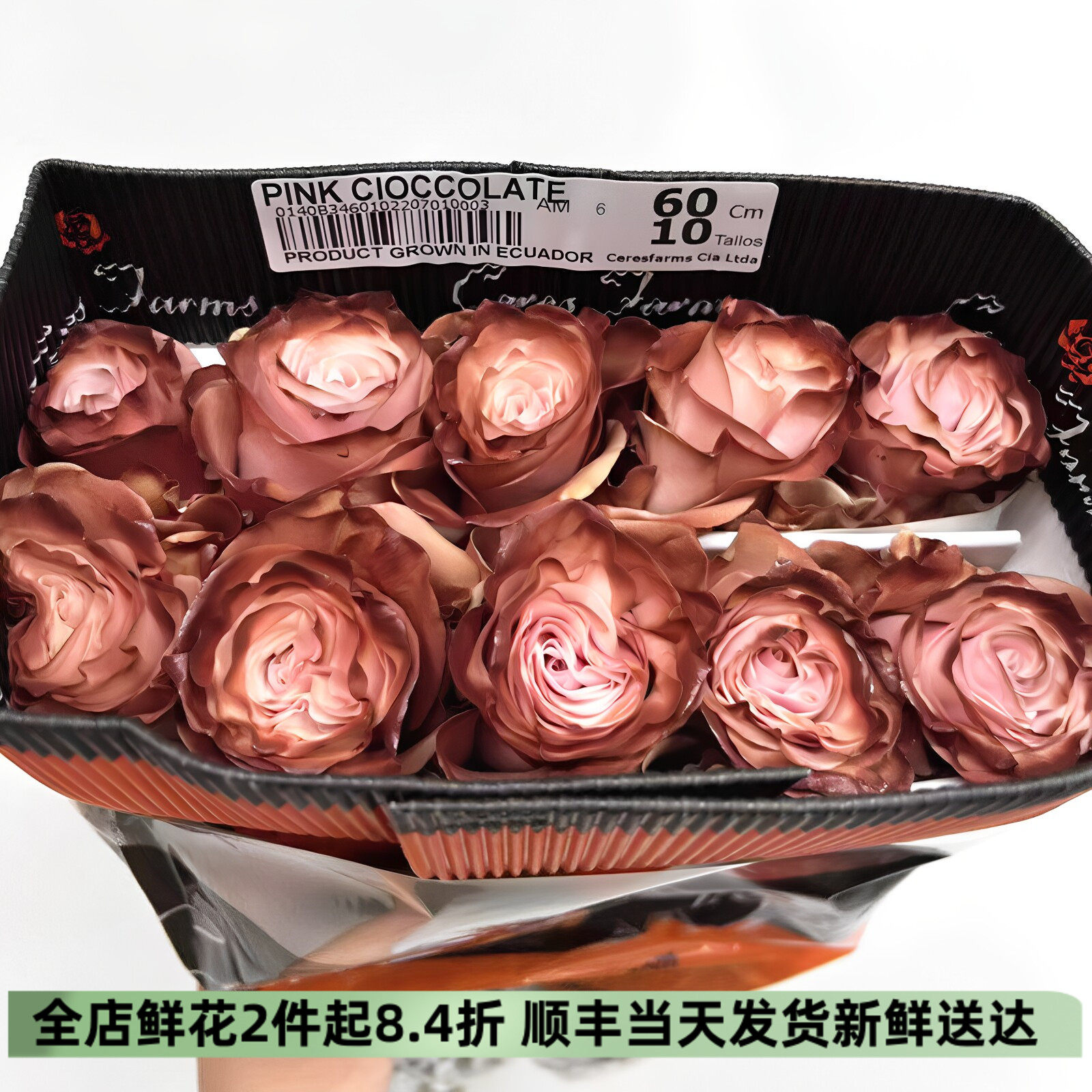 厄瓜多尔进口染色大玫瑰鲜切花