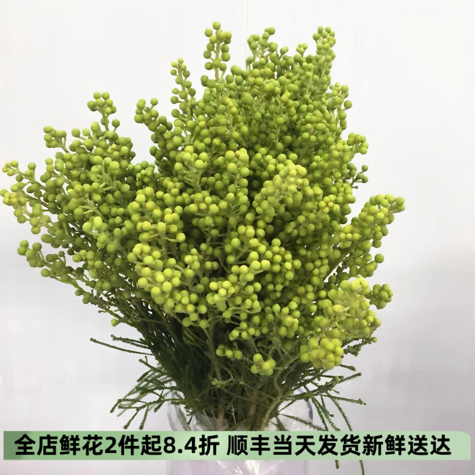 绿珊瑚果木本花椒果风干插花