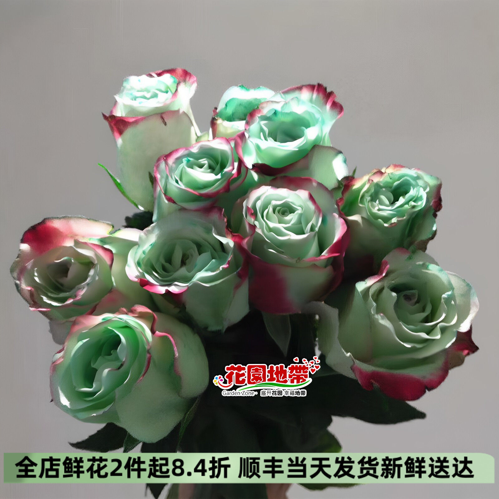 厄瓜多尔薄荷玫瑰鲜切花速递