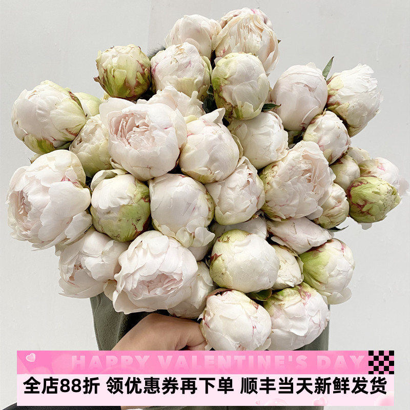 大芍药鲜花红色魅力白奶油碗