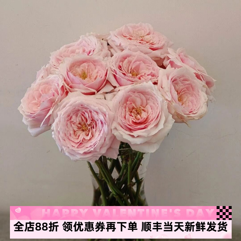 北京花市直发婚庆花玫瑰小粉兔鲜切花情人节鲜花家庭插花同城速递