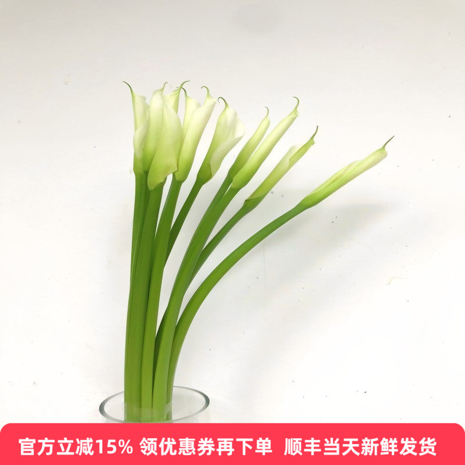 马蹄莲鲜花水养插花花艺新娘手捧