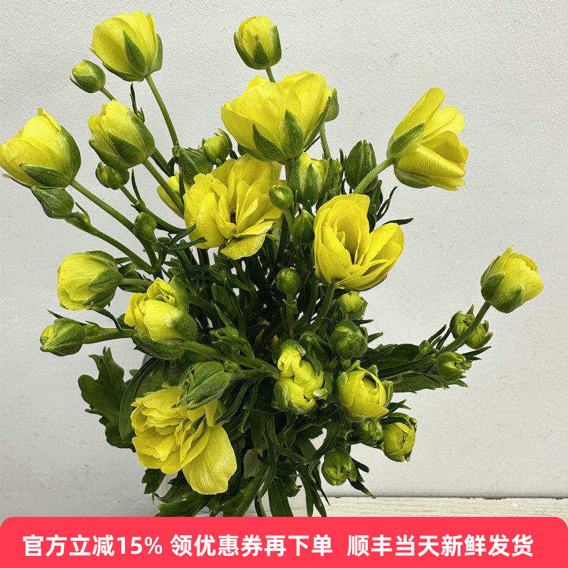 蝴蝶洋牡丹鲜花水养多头鲜切花卉