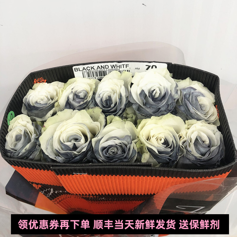 灰色天空玫瑰厄瓜多尔级染色大