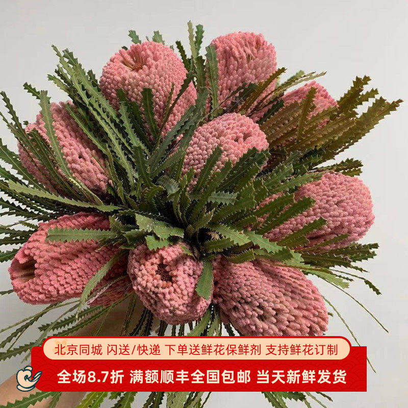 班克木佛塔花长期南非进口干花永生花插花家装饰北京同城鲜花速递