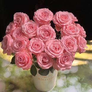 多品种玫瑰鲜花家庭订阅水培插花情人节花束婚礼用花生日同城速递