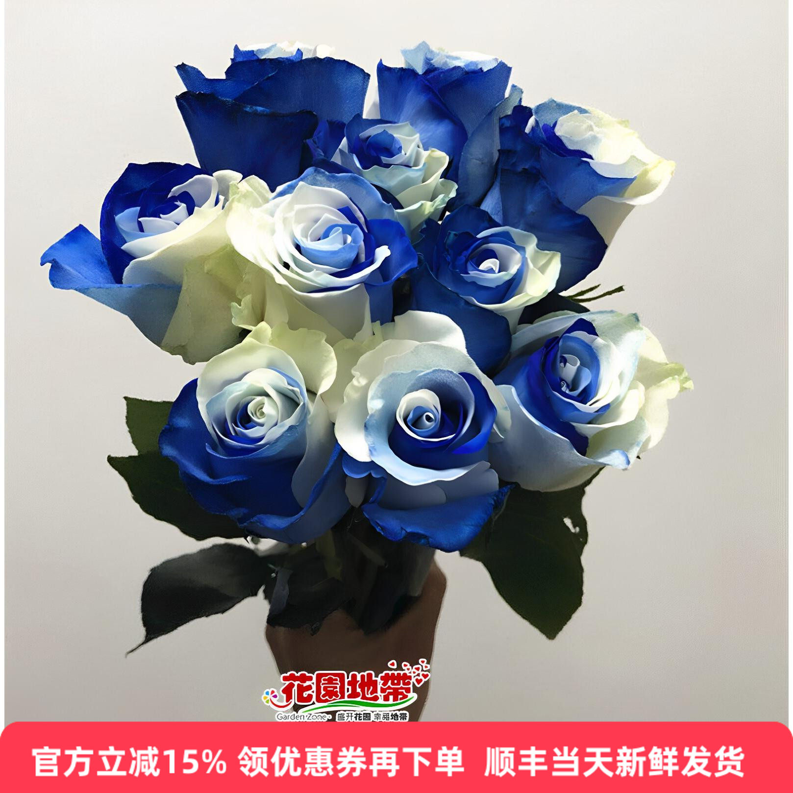 进口天空蓝白大玫瑰花束速递鲜花