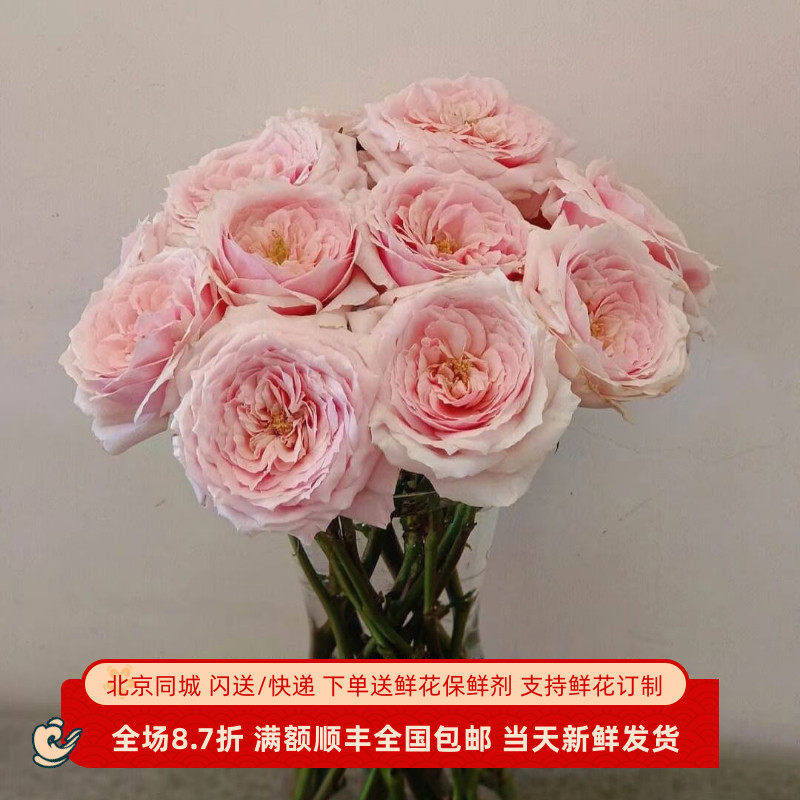 小粉兔玫瑰花婚庆手捧花鲜切花情人节鲜花家庭瓶插花北京同城速递