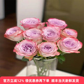 气场玫瑰花室内水培大花朵鲜切月季 花情人节花束北京鲜花同城速递