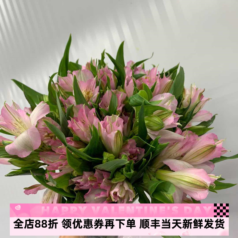 进口六初花室内水养生日七夕10枝