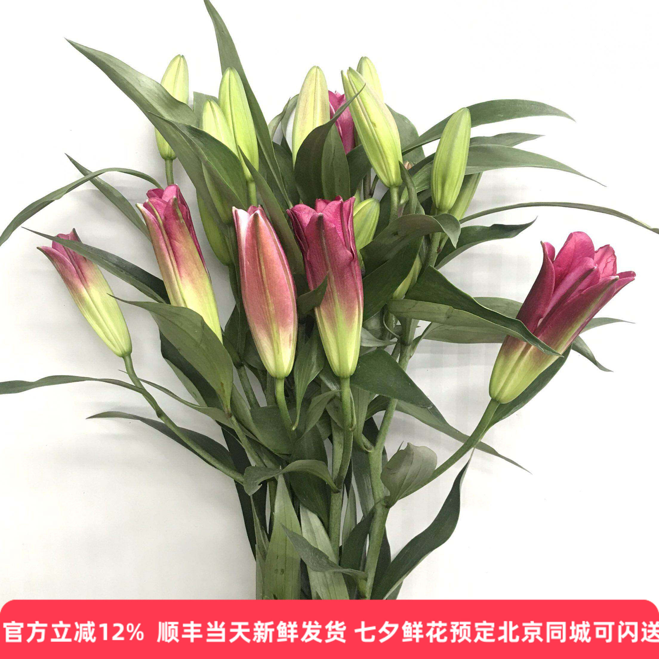 大红袍香水百合鲜花家居水培百合