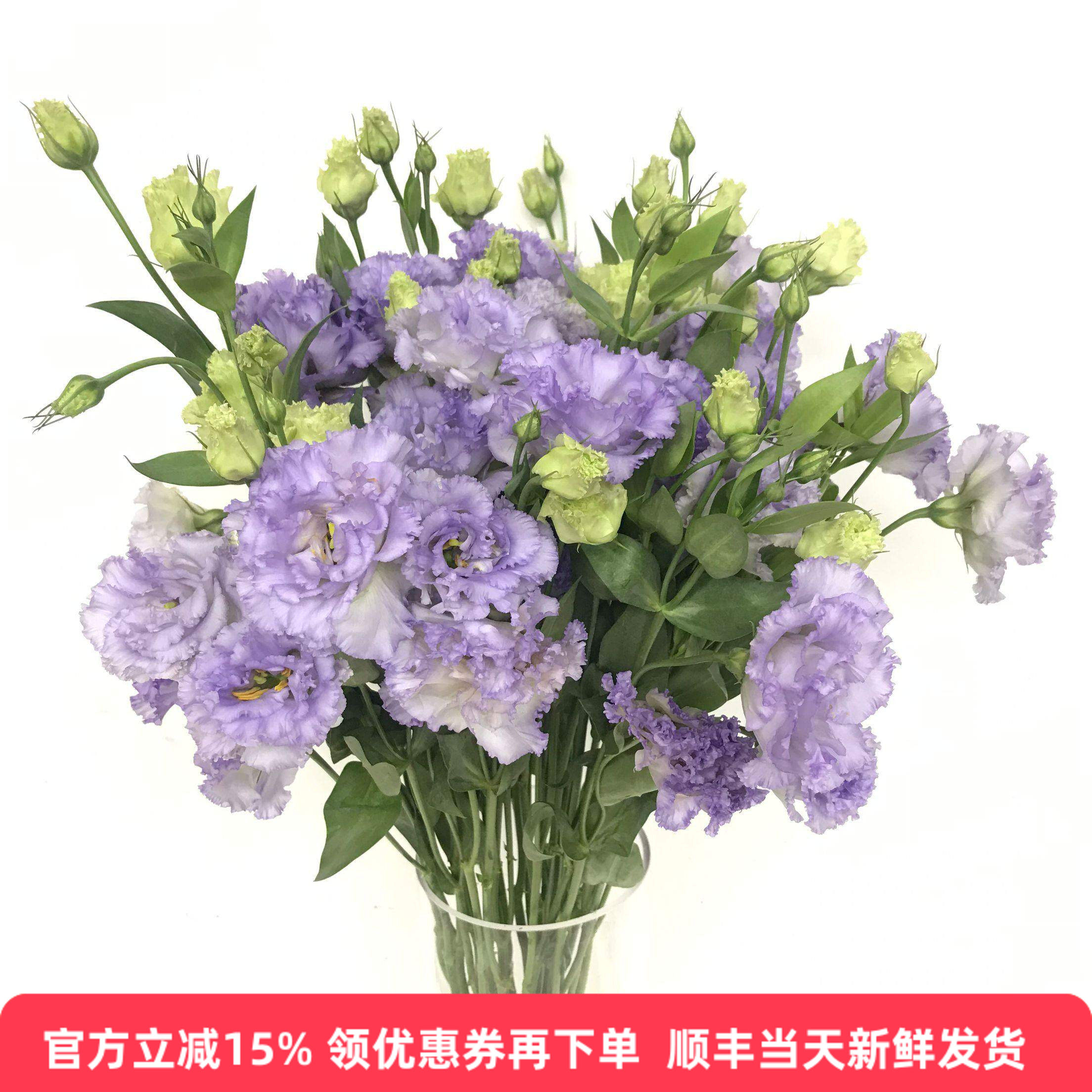 清冷紫色波浪边农民紫龙胆花卷边洋桔梗鲜花水培家庭插花北京同城