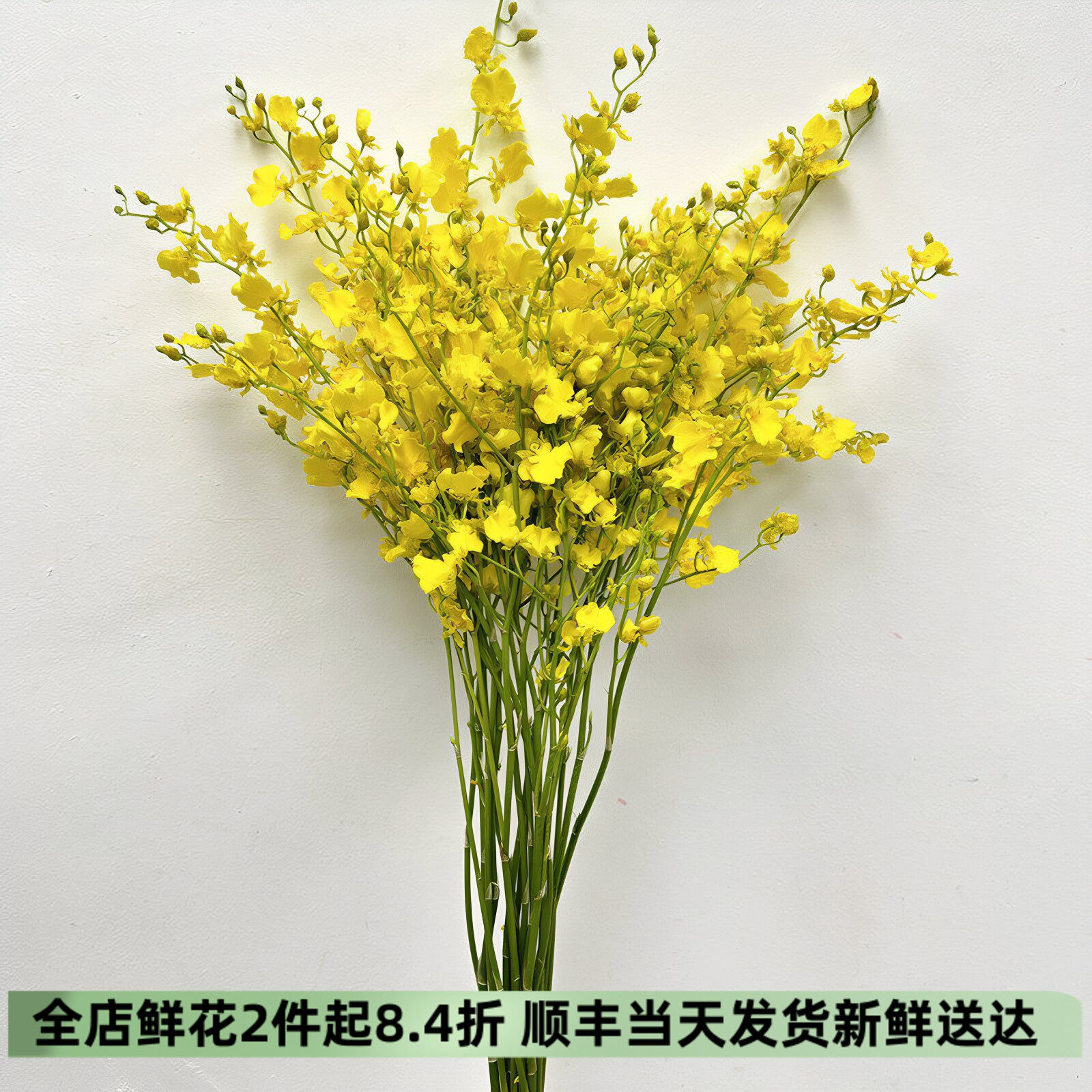 柠檬跳舞兰鲜切花同城速递文心兰