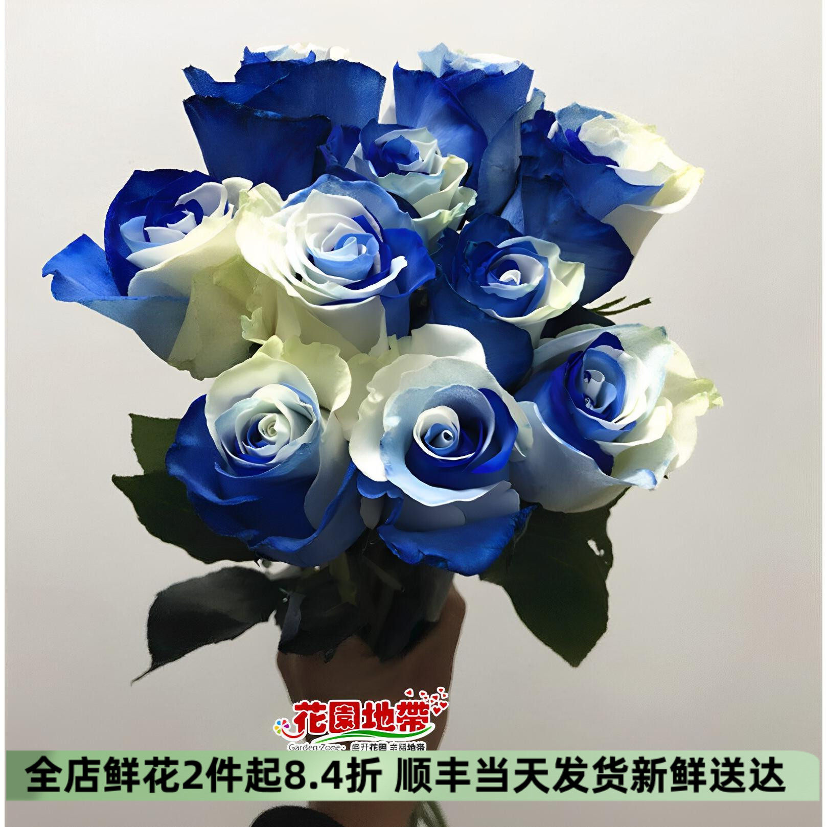 进口天空蓝白大玫瑰花束速递鲜花