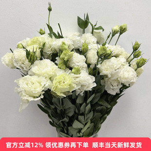 白波浪龙胆鲜花洋桔梗水培家庭插花生日爱情礼物表白北京同城速递