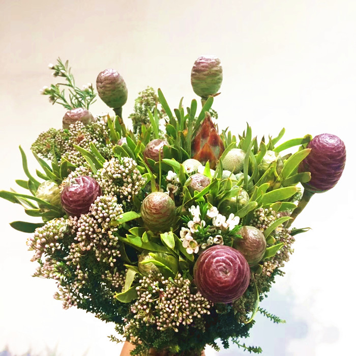 南非花束木果木球随机混搭可风