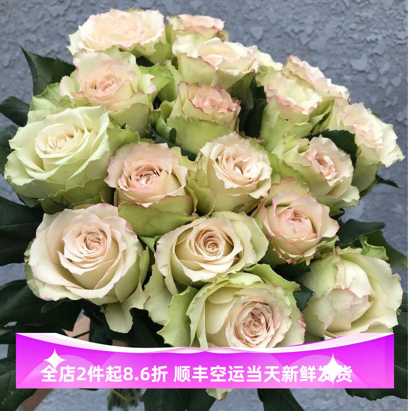 协奏曲玫瑰情人节女友花同城配送