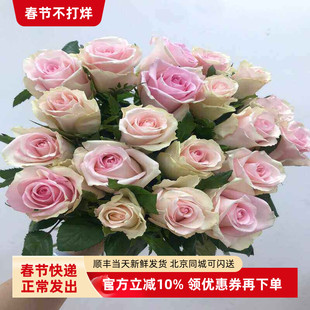 火奴鲁鲁玫瑰花切花月季大花水养客厅插花同城速递顺丰鲜花次日达