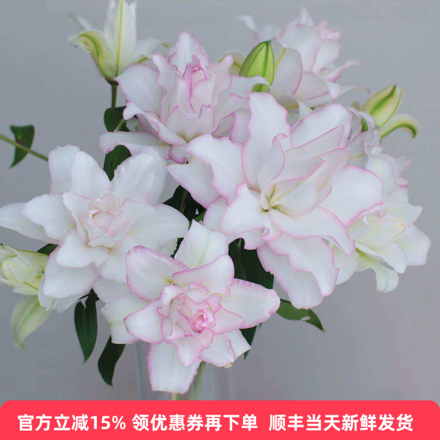 冰美人香水百合多头重瓣鲜切花