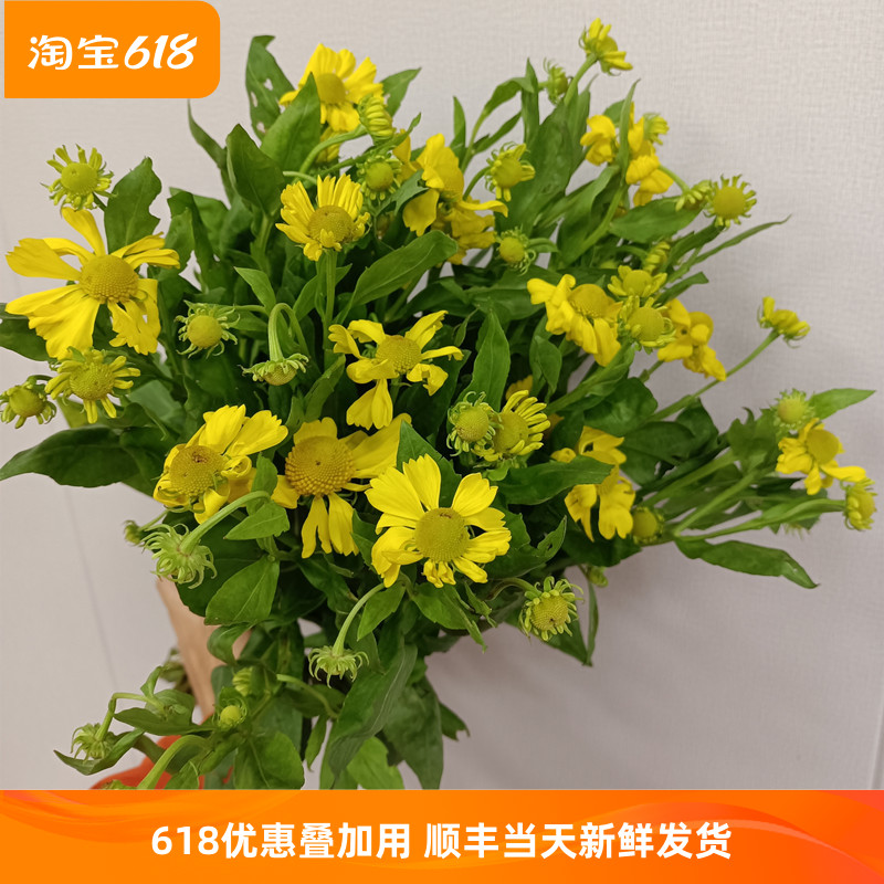 油画黄小菊蛋花雏菊水养个性趣味花艺插花生日送礼闺蜜画廊写生花